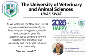 Happy New Year - 2026