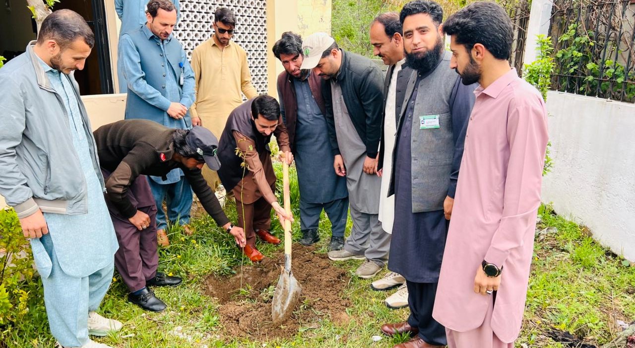 UVAS Swat Launches Tree Plantation Campaign to Promote Environmental Sustainability