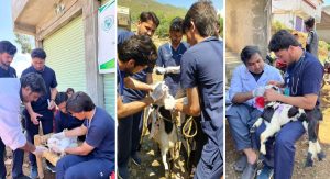UVAS Swat Successfully Organizes Free Veterinary Medical Camp