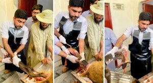 Life-Saving Veterinary Intervention: UVAS Swat Successfully Manages Dystocia in Hock Deer at Swat Zoo