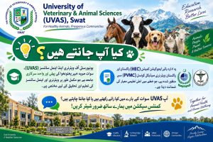 UVAS Swat: Pioneering Veterinary & Animal Sciences Education in Khyber Pakhtunkhwa.